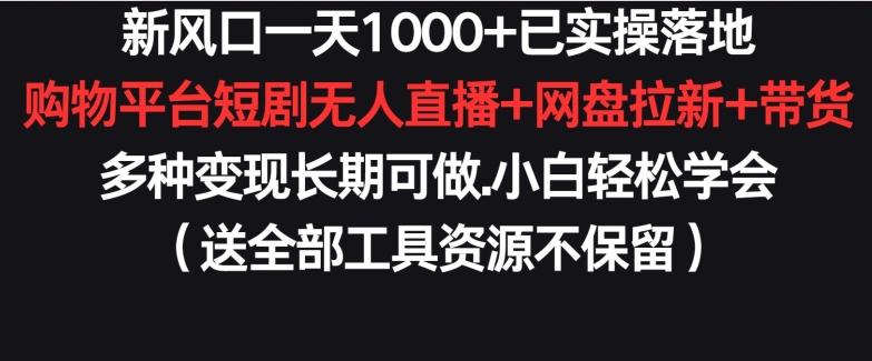 新风口一天1000+已实操落地购物平台短剧无人直播+网盘拉新+带货多种变现长期可做【揭秘】-谷进海小站