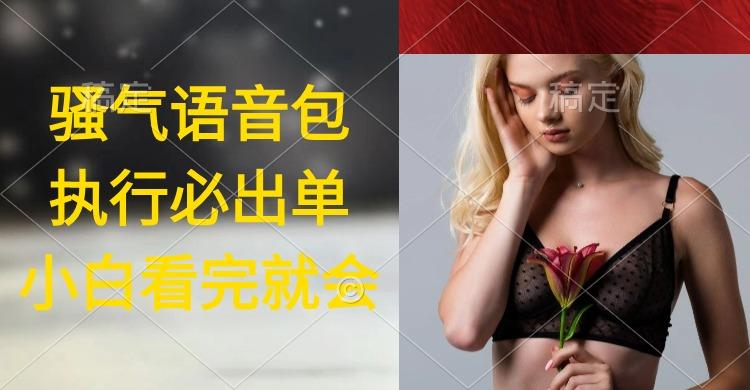 (9589期)执行就出单，日入2000+，超火骚气语音包，小白看完课程就能马上实操-谷进海小站