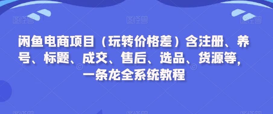 闲鱼电商项目(玩转价格差)含注册、养号、标题、成交、售后、选品、货源等，一条龙全系统教程-谷进海小站