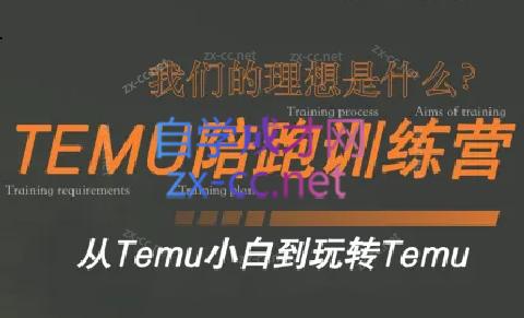 苗苗·拼多多跨境（temu）课程-谷进海小站