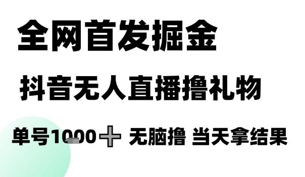 全网首发掘金抖音无人直播撸礼物，单号1k +无脑撸，当天拿结果【揭秘】-谷进海小站