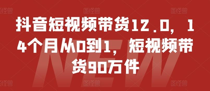 抖音短视频带货12.0，14个月从0到1，短视频带货90万件-谷进海小站