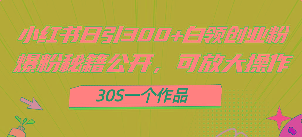 小红书日引300+高质白领创业粉，可放大操作，爆粉秘籍！30s一个作品-谷进海小站