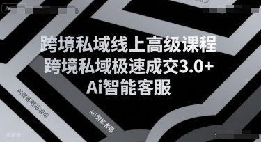 跨境私域线上高级课程，跨境私域极速成交3.0+Ai智能客服-谷进海小站