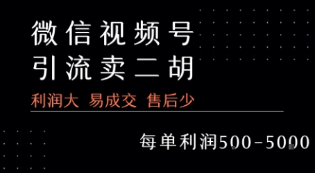 视频号卖二胡教程，利润大 易成交 售后少，一单利润5张+-谷进海小站