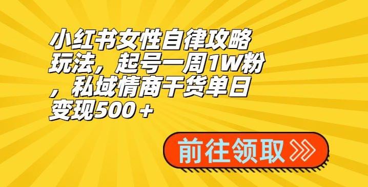 小红书女性自律攻略玩法，起号一周1W粉，私域情商干货单日变现500＋-谷进海小站