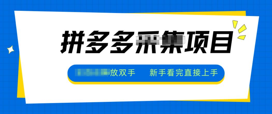 拼多多电商采集，一小时50+，操作简单，零投资-谷进海小站