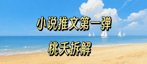 小说推文项目操作全流程第一弹，0粉就能做，门槛低非常适合新手-谷进海小站