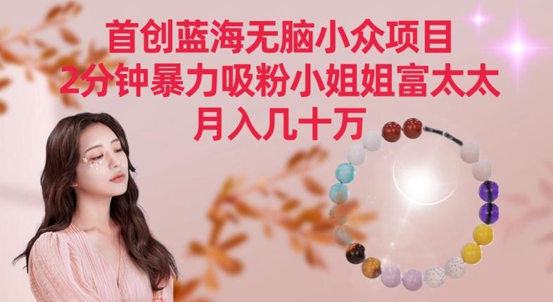 首创蓝海无脑小众项目，2分钟暴力吸粉小姐姐富太太，月入几十万【揭秘】-谷进海小站