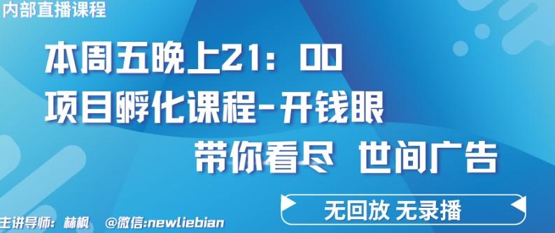 4.26日内部回放课程《项目孵化-开钱眼》赚钱的底层逻辑【揭秘】-谷进海小站
