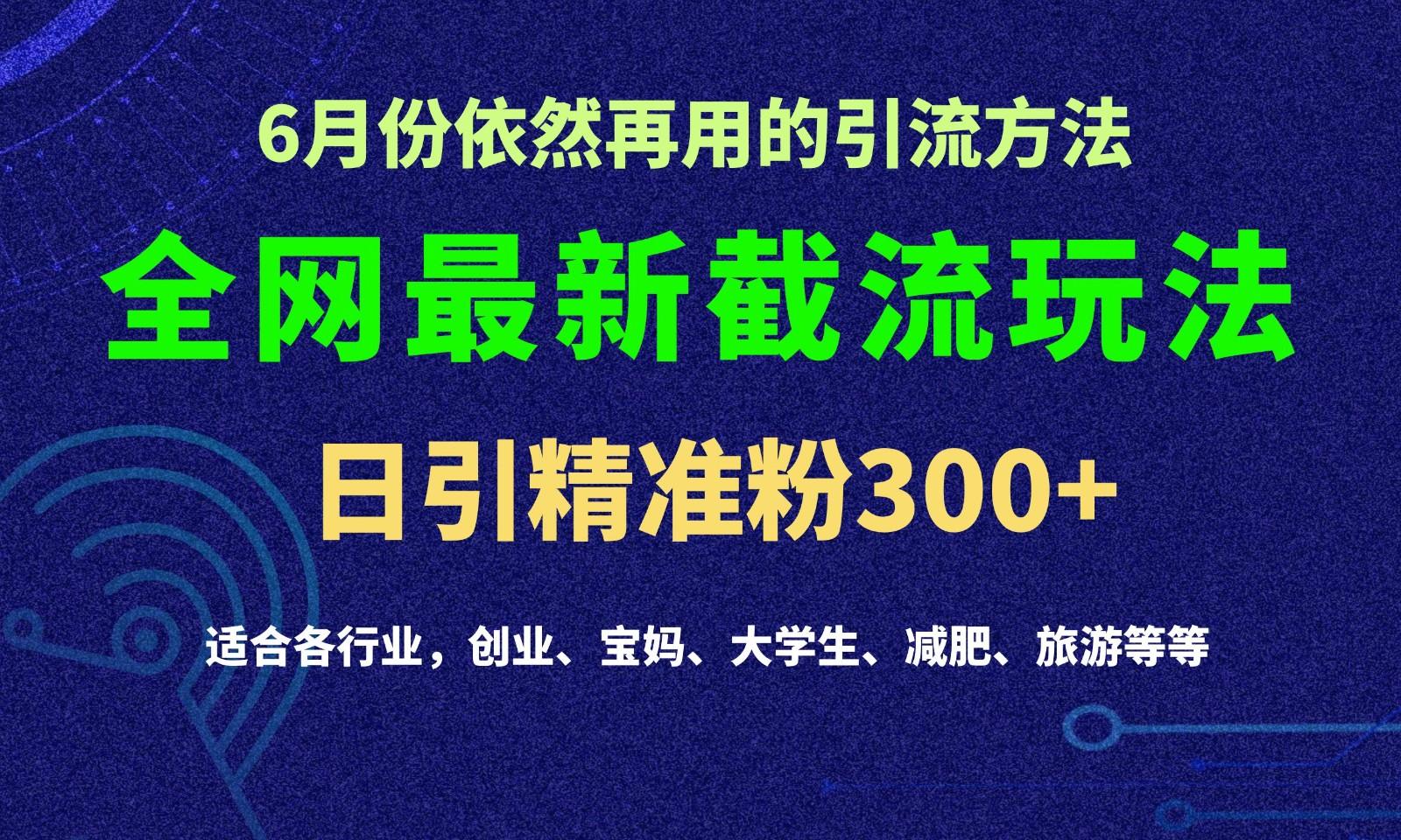 2024全网最新截留玩法，每日引流突破300+-谷进海小站