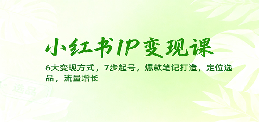 小红书IP变现课：6大变现方式，7步起号，爆款笔记打造，定位选品，流量增长-谷进海小站
