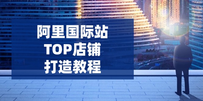 阿里国际站TOP店铺打造教程：涵盖平台到高阶，解决运营难题，提升询盘-谷进海小站