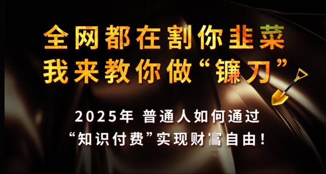 全网都在割你韭菜，我来教你做镰刀，2025年普通人如何通过 知识付费 实现财F自由【揭秘】-谷进海小站