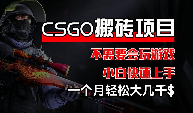 CSGO 装备搬砖项目，操作简单，不需要会玩游戏，小白也能快速上手，一个月轻松大几千【揭秘】-谷进海小站