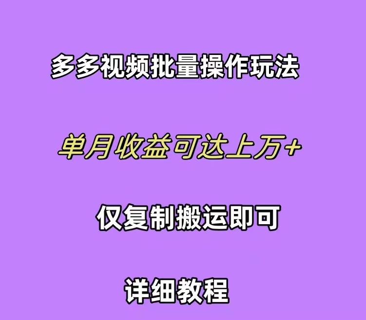 (10029期)拼多多视频带货快速过爆款选品教程 每天轻轻松松赚取三位数佣金 小白必…-谷进海小站