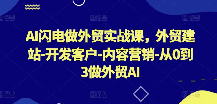 AI闪电做外贸实战课，​外贸建站-开发客户-内容营销-从0到3做外贸AI(更新)-谷进海小站