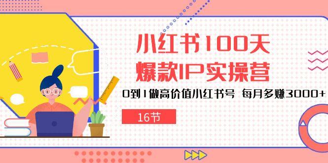 小红书100天-爆款IP实操营，0到1做高价值小红书号 每月多赚3000+(16节-谷进海小站