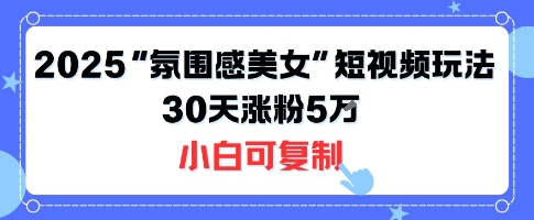 不露脸也能火！2025“氛围感美女”短视频玩法，30天涨粉5W小白可复制-谷进海小站
