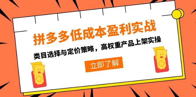 拼多多低成本盈利实战，类目选择与定价策略，高权重产品上架实操-谷进海小站