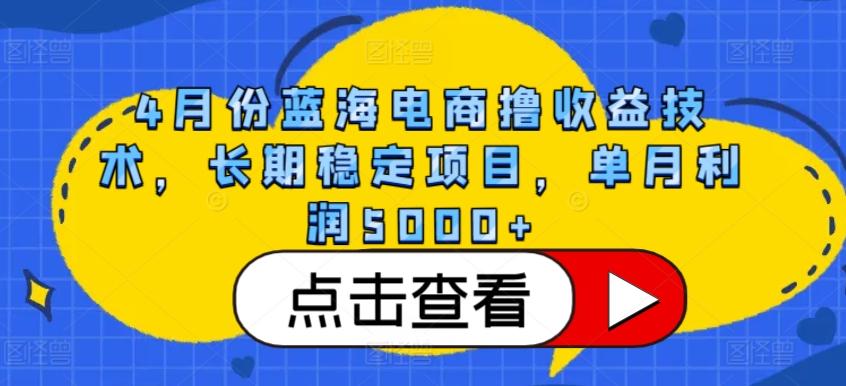 4月份蓝海电商撸收益技术，长期稳定项目，单月利润5000+【揭秘】-谷进海小站