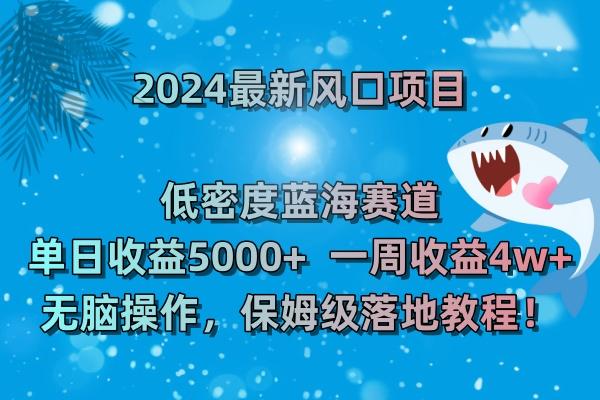 (8545期)2024最新风口项目 低密度蓝海赛道，日收益5000+周收益4w+ 无脑操作，保…-谷进海小站