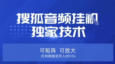 【搜狐音频挂G】独家技术，可矩阵可放大，红利期稳定月入8k【揭秘】-谷进海小站