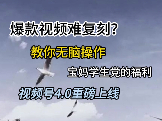 视频号4.0重磅上线，爆款视频难复刻？教你无脑操作宝妈学生党的福利【揭秘】-谷进海小站