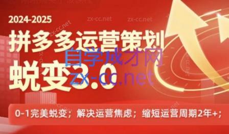 大力老师·2024拼多多运营策略蜕变3.0-谷进海小站