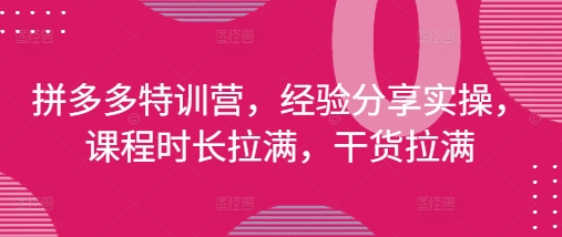 拼多多特训营，经验分享实操，课程时长拉满，干货拉满(更新25年4月)-谷进海小站