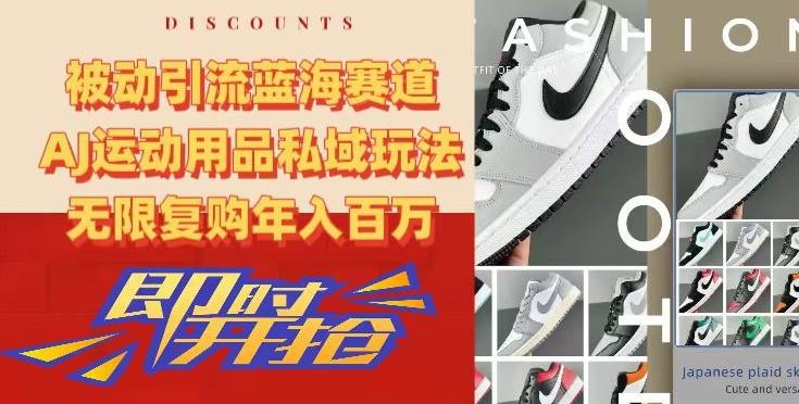 被动引流蓝海赛道，AJ运动用品私域玩法，无限复购年入百万【揭秘】-谷进海小站