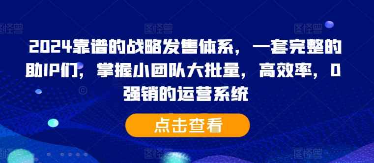 2024靠谱的战略发售体系，一套完整的助IP们，掌握小团队大批量，高效率，0 强销的运营系统-谷进海小站