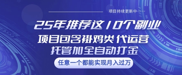 25年推荐这10个副业项目包含褂鸡类、代运营托管类、全自动打金类【揭秘】-谷进海小站