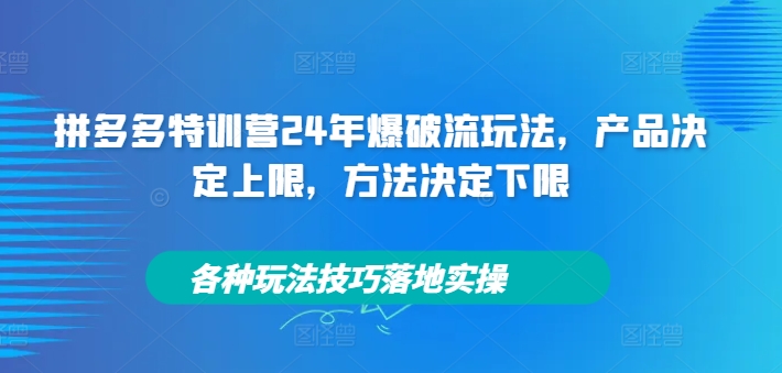 拼多多特训营24年爆破流玩法，产品决定上限，方法决定下限，各种玩法技巧落地实操-谷进海小站