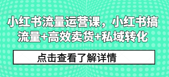 小红书流量运营课，小红书搞流量+高效卖货+私域转化-谷进海小站