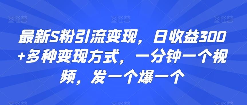 最新S粉引流变现，日收益300+多种变现方式，一分钟一个视频，发一个爆一个【揭秘】-谷进海小站