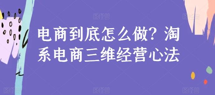 电商到底怎么做？淘系电商三维经营心法-谷进海小站