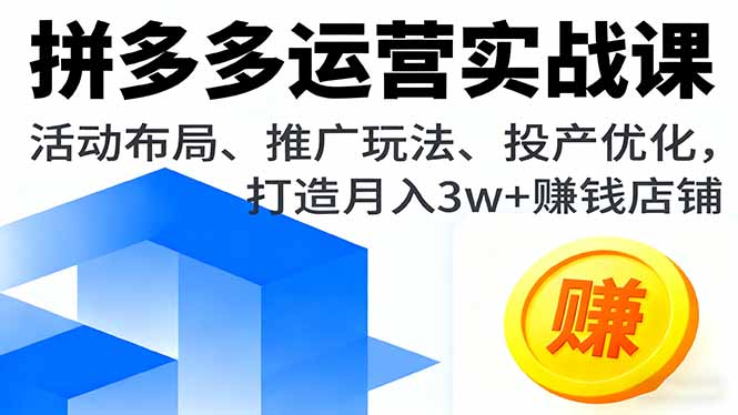 拼多多运营实战课，活动布局、推广玩法、投产优化，打造月入3w+赚钱店铺-谷进海小站