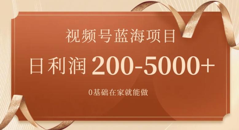 外边收费699视频号项目，最新玩法，简单好操作，一人可做，日四位数-谷进海小站