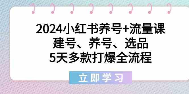 2024小红书养号+流量课：建号、养号、选品，5天多款打爆全流程-谷进海小站