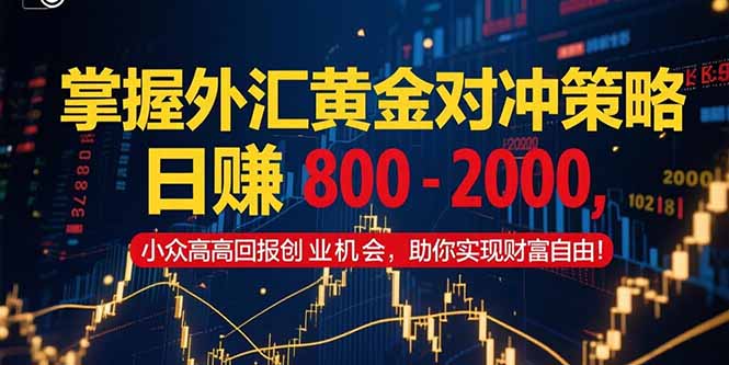 掌握外汇黄金对冲策略，日赚 800 – 2000，小众高回报创业机会，助你实…-谷进海小站