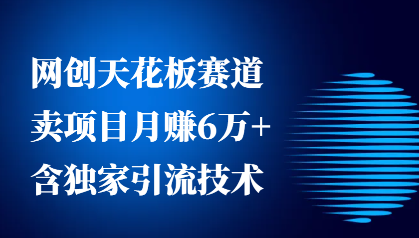 网创天花板赛道，卖项目月赚6万+，含独家引流技术(共26节课)-谷进海小站