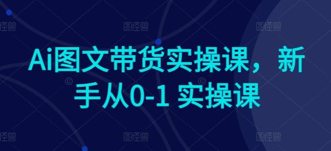 Ai图文带货实操课，新手从0-1 实操课-谷进海小站