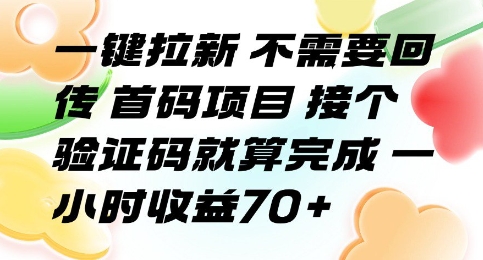 一键拉新 不需要回传 首码项目 接个验证码就算完成 一小时收益70+【揭秘】-谷进海小站