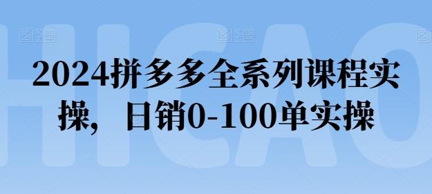 2024拼多多全系列课程实操，日销0-100单实操【必看】-谷进海小站
