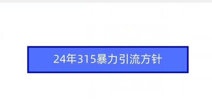 24年315暴力引流方针-谷进海小站