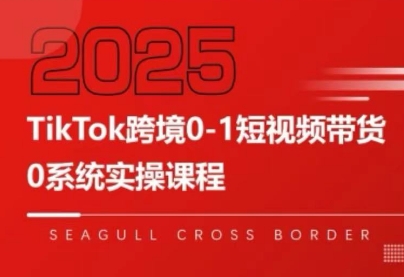 大亿老师·TikTok跨境0-1短视频带货-谷进海小站