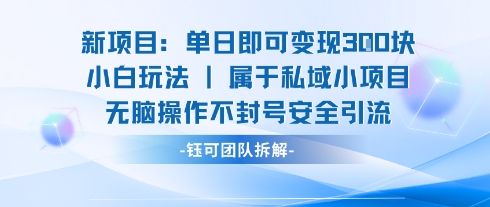 新项目单日即可变现3张的小白玩法无脑操作不封号安全引流-谷进海小站