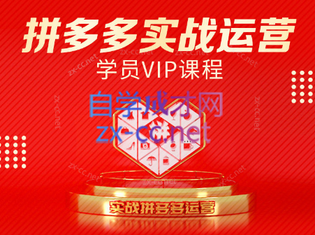 推易电商·拼多多实战运营课(更新2025月)-谷进海小站