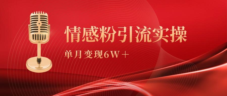 (9473期)单月变现6w+，情感粉引流变现实操课-谷进海小站